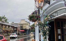 The Albert
